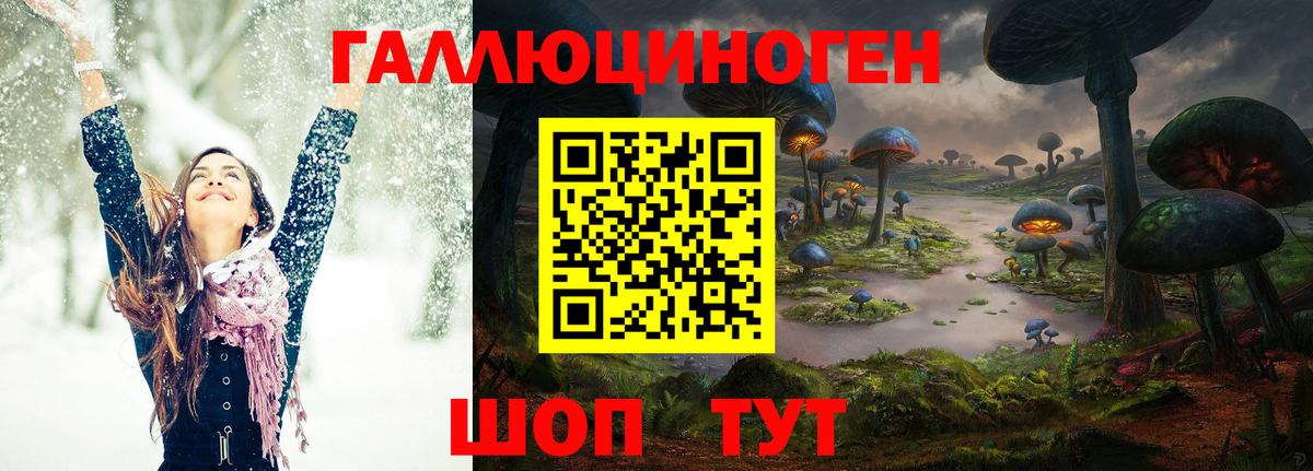 Псилоцибиновые грибы ЛСД Луга